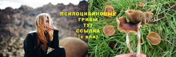кокс Баксан
